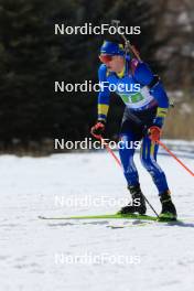 08.03.2024, Soldier Hollow, United States of America (USA): Dmytro Pidruchnyi (UKR) - IBU World Cup Biathlon, relay men, Soldier Hollow (USA). www.nordicfocus.com. © Manzoni/NordicFocus. Every downloaded picture is fee-liable.