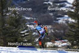 09.03.2024, Soldier Hollow, United States of America (USA): Danilo Riethmueller (GER) - IBU World Cup Biathlon, sprint men, Soldier Hollow (USA). www.nordicfocus.com. © Manzoni/NordicFocus. Every downloaded picture is fee-liable.