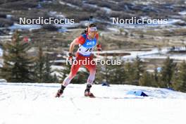 09.03.2024, Soldier Hollow, United States of America (USA): Christian Gow (CAN) - IBU World Cup Biathlon, sprint men, Soldier Hollow (USA). www.nordicfocus.com. © Manzoni/NordicFocus. Every downloaded picture is fee-liable.