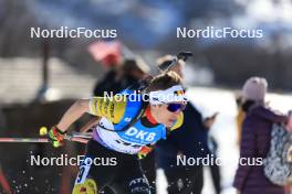 09.03.2024, Soldier Hollow, United States of America (USA): Marek Mackels (BEL) - IBU World Cup Biathlon, sprint men, Soldier Hollow (USA). www.nordicfocus.com. © Manzoni/NordicFocus. Every downloaded picture is fee-liable.