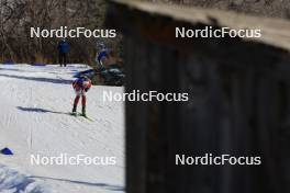 09.03.2024, Soldier Hollow, United States of America (USA): Aleksandrs Patrijuks (LAT) - IBU World Cup Biathlon, sprint men, Soldier Hollow (USA). www.nordicfocus.com. © Manzoni/NordicFocus. Every downloaded picture is fee-liable.