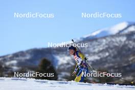 08.03.2024, Soldier Hollow, United States of America (USA): Hanna Oeberg (SWE) - IBU World Cup Biathlon, sprint women, Soldier Hollow (USA). www.nordicfocus.com. © Manzoni/NordicFocus. Every downloaded picture is fee-liable.