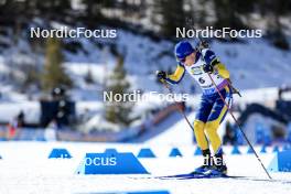 16.03.2024, Canmore, Canada (CAN): Sebastian Samuelsson (SWE) - IBU World Cup Biathlon, pursuit men, Canmore (CAN). www.nordicfocus.com. © Manzoni/NordicFocus. Every downloaded picture is fee-liable.