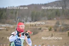 25.01.2024, Brezno-Osrblie, Slovakia (SVK): Lydia Hiernickel (SUI) - IBU Open European Championships Biathlon, training, Brezno-Osrblie (SVK). www.nordicfocus.com. © Reichert/NordicFocus. Every downloaded picture is fee-liable.