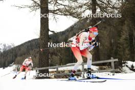 23.03.2024, Ulrichen, Switzerland (SUI): Elisa Gasparin (SUI) - Swiss Championships biathlon, mass, Ulrichen (SUI). www.nordicfocus.com. © Manzoni/NordicFocus. Every downloaded picture is fee-liable.