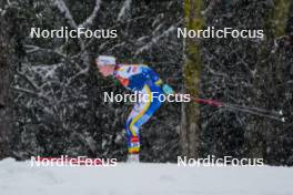06.01.2024, Val di Fiemme, Italy (ITA): Sofia Henriksson (SWE) - FIS world cup cross-country, tour de ski, mass, Val di Fiemme (ITA). www.nordicfocus.com. © Barbieri/NordicFocus. Every downloaded picture is fee-liable.