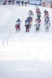 20.01.2024, Oberhof, Germany (GER): Womens race - FIS world cup cross-country, mass, Oberhof (GER). www.nordicfocus.com. © Modica/NordicFocus. Every downloaded picture is fee-liable.