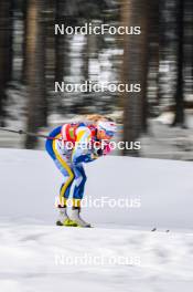 21.01.2024, Oberhof, Germany (GER): Frida Karlsson (SWE) - FIS world cup cross-country, relay, Oberhof (GER). www.nordicfocus.com. © Authamayou/NordicFocus. Every downloaded picture is fee-liable.