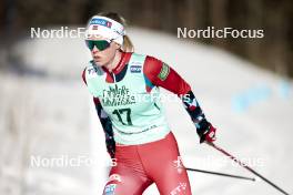 09.02.2024, Canmore, Canada (CAN): Anne Kjersti Kalvaa (NOR) - FIS world cup cross-country, 15km mass, Canmore (CAN). www.nordicfocus.com. © Modica/NordicFocus. Every downloaded picture is fee-liable.