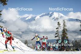 09.02.2024, Canmore, Canada (CAN): Jessie Diggins (USA), Heidi Weng (NOR), Victoria Carl (GER), Flora Dolci (FRA), (l-r)  - FIS world cup cross-country, 15km mass, Canmore (CAN). www.nordicfocus.com. © Modica/NordicFocus. Every downloaded picture is fee-liable.