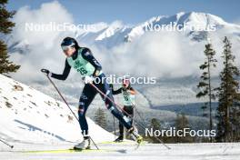 09.02.2024, Canmore, Canada (CAN): Katherine Sauerbrey (GER) - FIS world cup cross-country, 15km mass, Canmore (CAN). www.nordicfocus.com. © Modica/NordicFocus. Every downloaded picture is fee-liable.