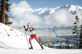 09.02.2024, Canmore, Canada (CAN): Mathilde Myhrvold (NOR) - FIS world cup cross-country, 15km mass, Canmore (CAN). www.nordicfocus.com. © Modica/NordicFocus. Every downloaded picture is fee-liable.