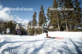 09.02.2024, Canmore, Canada (CAN): Jessie Diggins (USA), Victoria Carl (GER), (l-r)  - FIS world cup cross-country, 15km mass, Canmore (CAN). www.nordicfocus.com. © Modica/NordicFocus. Every downloaded picture is fee-liable.