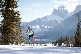 09.02.2024, Canmore, Canada (CAN): Antoine Cyr (CAN) - FIS world cup cross-country, 15km mass, Canmore (CAN). www.nordicfocus.com. © Modica/NordicFocus. Every downloaded picture is fee-liable.