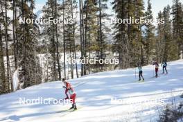 09.02.2024, Canmore, Canada (CAN): Mika Vermeulen (AUT), Mattis Stenshagen (NOR), Friedrich Moch (GER), Harald Oestberg Amundsen (NOR), Jules Chappaz (FRA), (l-r)  - FIS world cup cross-country, 15km mass, Canmore (CAN). www.nordicfocus.com. © Modica/NordicFocus. Every downloaded picture is fee-liable.
