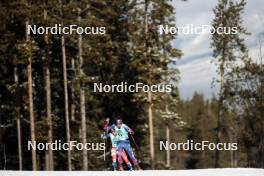 09.02.2024, Canmore, Canada (CAN): Katerina Janatova (CZE), Julia Kern (USA), (l-r)  - FIS world cup cross-country, 15km mass, Canmore (CAN). www.nordicfocus.com. © Modica/NordicFocus. Every downloaded picture is fee-liable.