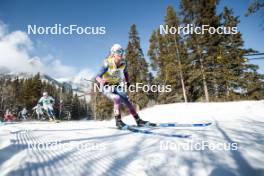09.02.2024, Canmore, Canada (CAN): Frida Karlsson (SWE), Jessie Diggins (USA), (l-r)  - FIS world cup cross-country, 15km mass, Canmore (CAN). www.nordicfocus.com. © Modica/NordicFocus. Every downloaded picture is fee-liable.