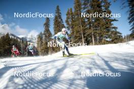 09.02.2024, Canmore, Canada (CAN): Ebba Andersson (SWE) - FIS world cup cross-country, 15km mass, Canmore (CAN). www.nordicfocus.com. © Modica/NordicFocus. Every downloaded picture is fee-liable.