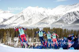 10.02.2024, Canmore, Canada (CAN): Johannes Hoesflot Klaebo (NOR), Lucas Chanavat (FRA), James Clugnet (GBR), Michael Foettinger (AUT), (l-r)  - FIS world cup cross-country, individual sprint, Canmore (CAN). www.nordicfocus.com. © Modica/NordicFocus. Every downloaded picture is fee-liable.