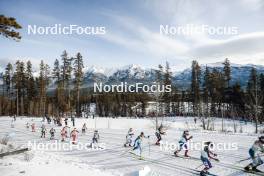 11.02.2024, Canmore, Canada (CAN): Tiril Udnes Weng (NOR), Jessie Diggins (USA), Jonna Sundling (SWE), Anne Kyllonen (FIN), Sophia Laukli (USA), Linn Svahn (SWE), (l-r)  - FIS world cup cross-country, mass, Canmore (CAN). www.nordicfocus.com. © Modica/NordicFocus. Every downloaded picture is fee-liable.