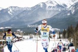 11.02.2024, Canmore, Canada (CAN): Gustaf Berglund (SWE) - FIS world cup cross-country, mass, Canmore (CAN). www.nordicfocus.com. © Modica/NordicFocus. Every downloaded picture is fee-liable.
