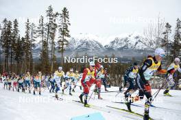 11.02.2024, Canmore, Canada (CAN): Thomas Maloney Westgaard (IRL), Cyril Faehndrich (SUI), Calle Halfvarsson (SWE), Gustaf Berglund (SWE), Jens Burman (SWE), Didrik Toenseth (NOR), Harald Oestberg Amundsen (NOR), Johannes Hoesflot Klaebo (NOR), Elia Barp (ITA), (l-r)  - FIS world cup cross-country, mass, Canmore (CAN). www.nordicfocus.com. © Modica/NordicFocus. Every downloaded picture is fee-liable.