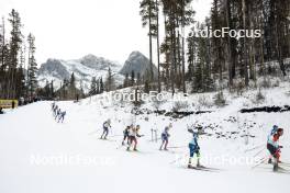 11.02.2024, Canmore, Canada (CAN): Felix-Olivier Moreau (CAN), Reid Goble (USA), Miha Simenc (SLO), Leo Grandbois (CAN), (l-r)  - FIS world cup cross-country, mass, Canmore (CAN). www.nordicfocus.com. © Modica/NordicFocus. Every downloaded picture is fee-liable.