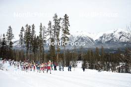 11.02.2024, Canmore, Canada (CAN): Florian Notz (GER), Paal Golberg (NOR), Hugo Lapalus (FRA), Mika Vermeulen (AUT), Martin Loewstroem Nyenget (NOR), (l-r)  - FIS world cup cross-country, mass, Canmore (CAN). www.nordicfocus.com. © Modica/NordicFocus. Every downloaded picture is fee-liable.