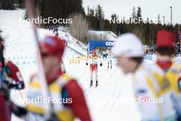 11.02.2024, Canmore, Canada (CAN): Jonas Baumann (SUI) - FIS world cup cross-country, mass, Canmore (CAN). www.nordicfocus.com. © Modica/NordicFocus. Every downloaded picture is fee-liable.