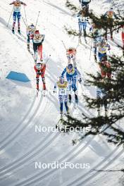 11.02.2024, Canmore, Canada (CAN): Heidi Weng (NOR), Katherine Stewart-Jones (CAN), Tiril Udnes Weng (NOR), Nadine Faehndrich (SUI), Johanna Matintalo (FIN), Jessie Diggins (USA), (l-r)  - FIS world cup cross-country, mass, Canmore (CAN). www.nordicfocus.com. © Modica/NordicFocus. Every downloaded picture is fee-liable.
