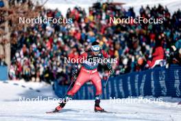 17.02.2024, Minneapolis, United States of America (USA): Lotta Udnes Weng (NOR) - FIS world cup cross-country, individual sprint, Minneapolis (USA). www.nordicfocus.com. © Modica/NordicFocus. Every downloaded picture is fee-liable.