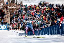 17.02.2024, Minneapolis, United States of America (USA): Erin Bianco (USA) - FIS world cup cross-country, individual sprint, Minneapolis (USA). www.nordicfocus.com. © Modica/NordicFocus. Every downloaded picture is fee-liable.