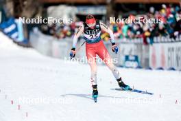 17.02.2024, Minneapolis, United States of America (USA): Alina Meier (SUI) - FIS world cup cross-country, individual sprint, Minneapolis (USA). www.nordicfocus.com. © Modica/NordicFocus. Every downloaded picture is fee-liable.