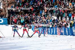 17.02.2024, Minneapolis, United States of America (USA): Gus Schumacher (USA), Even Northug (NOR), Haavard Solaas Taugboel (NOR), Zak Ketterson (USA), (l-r)  - FIS world cup cross-country, individual sprint, Minneapolis (USA). www.nordicfocus.com. © Modica/NordicFocus. Every downloaded picture is fee-liable.
