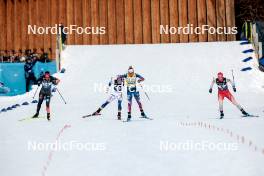 17.02.2024, Minneapolis, United States of America (USA): Coletta Rydzek (GER), Emma Ribom (SWE), Jessie Diggins (USA), Nadine Faehndrich (SUI), (l-r)  - FIS world cup cross-country, individual sprint, Minneapolis (USA). www.nordicfocus.com. © Modica/NordicFocus. Every downloaded picture is fee-liable.