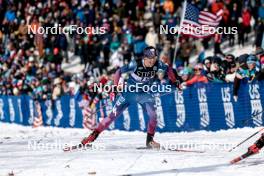 17.02.2024, Minneapolis, United States of America (USA): Julia Kern (USA) - FIS world cup cross-country, individual sprint, Minneapolis (USA). www.nordicfocus.com. © Modica/NordicFocus. Every downloaded picture is fee-liable.