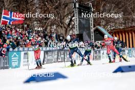17.02.2024, Minneapolis, United States of America (USA): Haavard Solaas Taugboel (NOR), Lucas Chanavat (FRA), Federico Pellegrino (ITA), Johannes Hoesflot Klaebo (NOR), (l-r)  - FIS world cup cross-country, individual sprint, Minneapolis (USA). www.nordicfocus.com. © Modica/NordicFocus. Every downloaded picture is fee-liable.