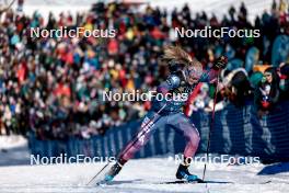 17.02.2024, Minneapolis, United States of America (USA): Samantha Smith (USA) - FIS world cup cross-country, individual sprint, Minneapolis (USA). www.nordicfocus.com. © Modica/NordicFocus. Every downloaded picture is fee-liable.