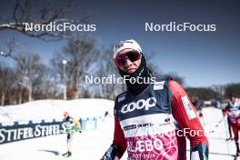 16.02.2024, Minneapolis, United States of America (USA): Johannes Hoesflot Klaebo (NOR) - FIS world cup cross-country, training, Minneapolis (USA). www.nordicfocus.com. © Modica/NordicFocus. Every downloaded picture is fee-liable.