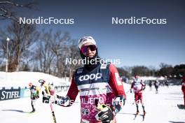16.02.2024, Minneapolis, United States of America (USA): Johannes Hoesflot Klaebo (NOR) - FIS world cup cross-country, training, Minneapolis (USA). www.nordicfocus.com. © Modica/NordicFocus. Every downloaded picture is fee-liable.