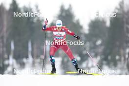 03.03.2024, Lahti, Finland (FIN): Johannes Hoesflot Klaebo (NOR) - FIS world cup cross-country, individual sprint, Lahti (FIN). www.nordicfocus.com. © Modica/NordicFocus. Every downloaded picture is fee-liable.