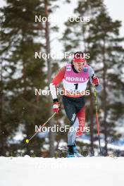 15.03.2024, Falun, Sweden (SWE): Antoine Cyr (CAN) - FIS world cup cross-country, individual sprint, Falun (SWE). www.nordicfocus.com. © Modica/NordicFocus. Every downloaded picture is fee-liable.