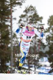 15.03.2024, Falun, Sweden (SWE): Johan Haeggstroem (SWE) - FIS world cup cross-country, individual sprint, Falun (SWE). www.nordicfocus.com. © Modica/NordicFocus. Every downloaded picture is fee-liable.