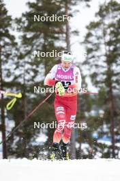15.03.2024, Falun, Sweden (SWE): Maciej Starega (POL) - FIS world cup cross-country, individual sprint, Falun (SWE). www.nordicfocus.com. © Modica/NordicFocus. Every downloaded picture is fee-liable.