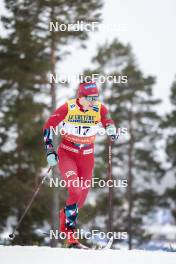 15.03.2024, Falun, Sweden (SWE): Tiril Udnes Weng (NOR) - FIS world cup cross-country, individual sprint, Falun (SWE). www.nordicfocus.com. © Modica/NordicFocus. Every downloaded picture is fee-liable.