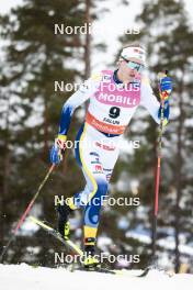 15.03.2024, Falun, Sweden (SWE): Oskar Svensson (SWE) - FIS world cup cross-country, individual sprint, Falun (SWE). www.nordicfocus.com. © Modica/NordicFocus. Every downloaded picture is fee-liable.