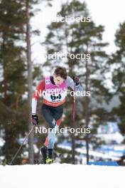 15.03.2024, Falun, Sweden (SWE): Sasha Masson (CAN) - FIS world cup cross-country, individual sprint, Falun (SWE). www.nordicfocus.com. © Modica/NordicFocus. Every downloaded picture is fee-liable.