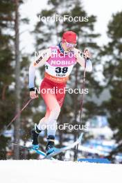 15.03.2024, Falun, Sweden (SWE): Roman Schaad (SUI) - FIS world cup cross-country, individual sprint, Falun (SWE). www.nordicfocus.com. © Modica/NordicFocus. Every downloaded picture is fee-liable.