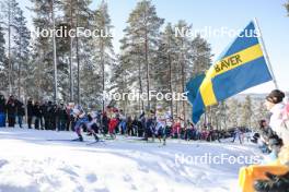 17.03.2024, Falun, Sweden (SWE): Jessie Diggins (USA), Ebba Andersson (SWE), Heidi Weng (NOR), Kerttu Niskanen (FIN), Victoria Carl (GER), Frida Karlsson (SWE), Astrid Oeyre Slind (NOR), (l-r)  - FIS world cup cross-country, mass, Falun (SWE). www.nordicfocus.com. © Modica/NordicFocus. Every downloaded picture is fee-liable.