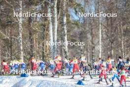 17.03.2024, Falun, Sweden (SWE): Womens mass race - FIS world cup cross-country, mass, Falun (SWE). www.nordicfocus.com. © Modica/NordicFocus. Every downloaded picture is fee-liable.
